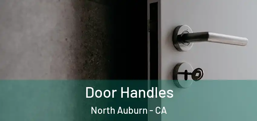  Door Handles North Auburn - CA