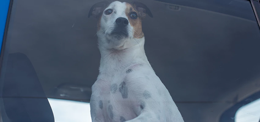 Car Lockout Solutions in North Auburn, California